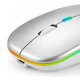 Mouse Inalámbrico Recargable Bluetooth Led Rgb Pc Tablet GRIS